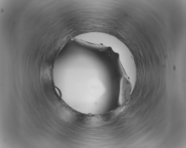 X0000062910286200602031905