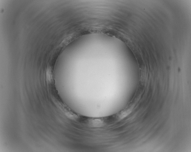 X0000062910287200602031905