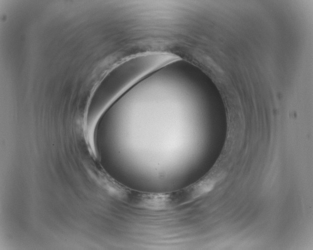 X0000062910288200602031905