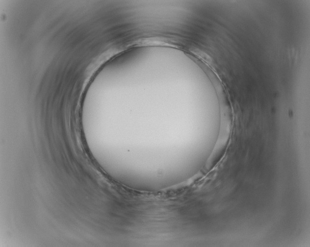 X0000062910289200602031904