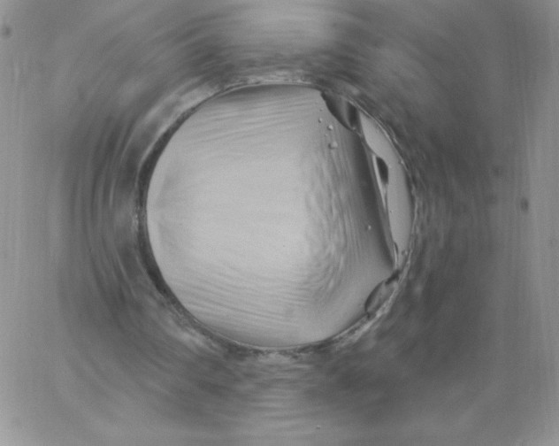 X0000062910290200602031904