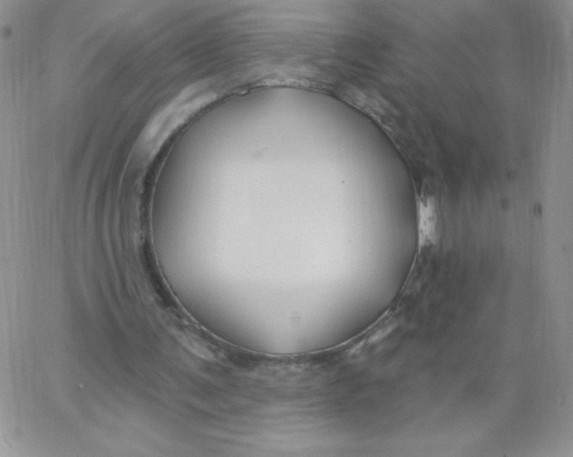 X0000062910291200602031904