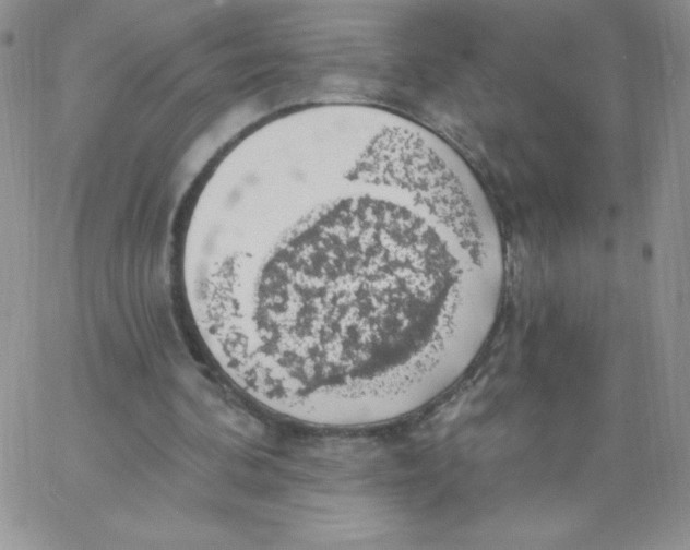 X0000062910292200602031904