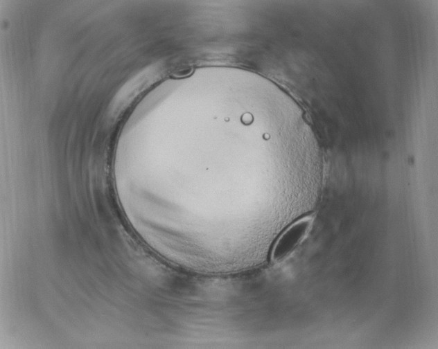 X0000062910293200602031904