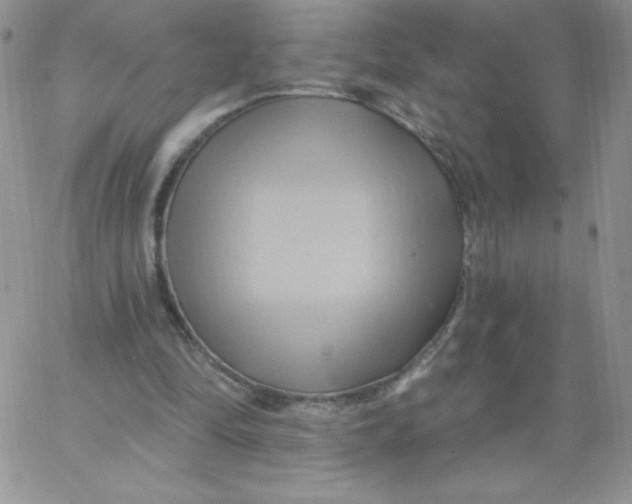 X0000062910294200602031904