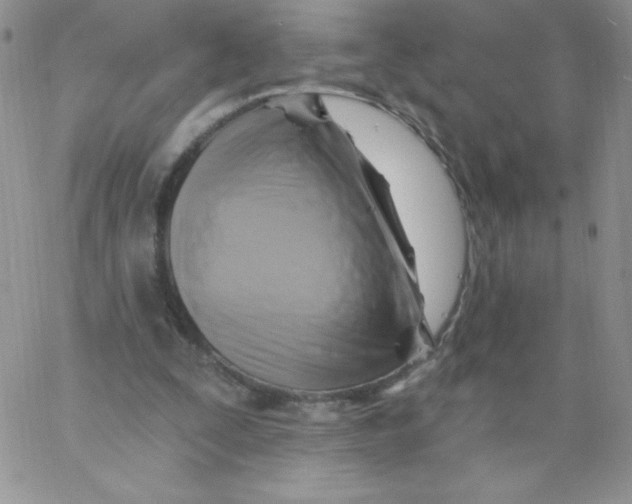 X0000062910295200602031904