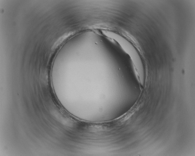 X0000062910298200602031904