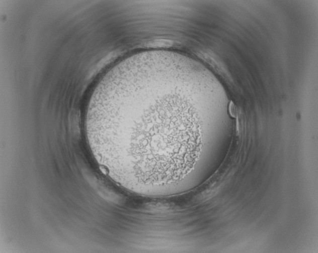 X0000062910300200602031904