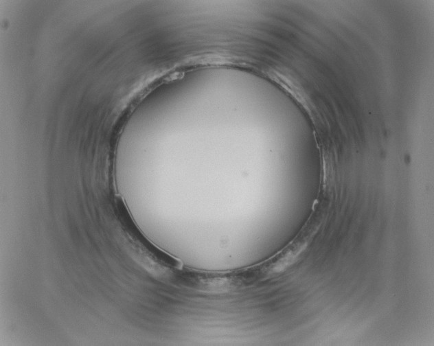 X0000062910301200602031904