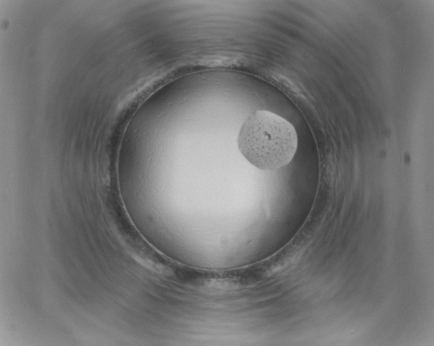 X0000062910303200602031904