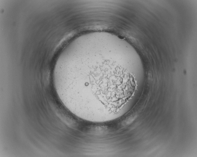 X0000062910304200602031904