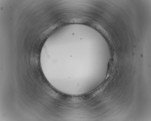 X0000062910305200602031904