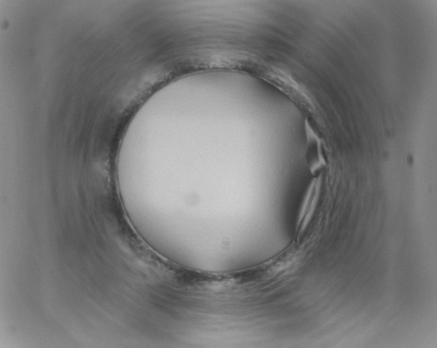 X0000062910306200602031903