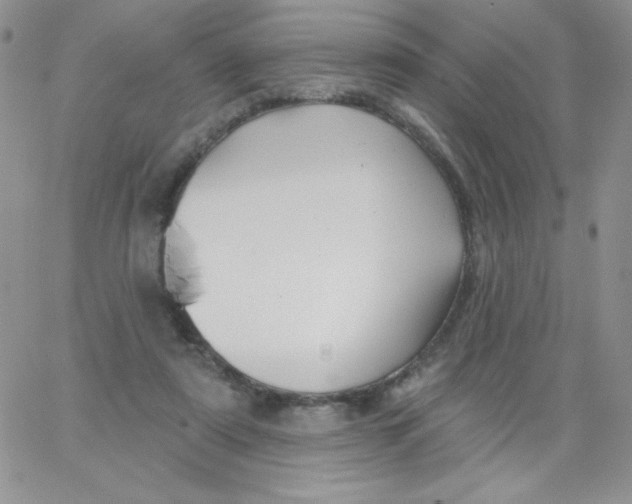 X0000062910307200602031903