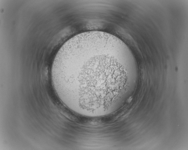 X0000062910308200602031903