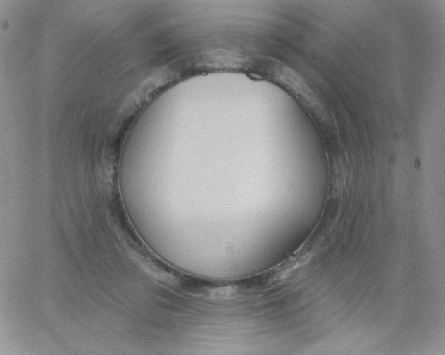 X0000062910309200602031903