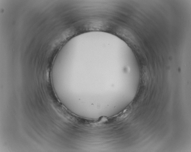 X0000062910310200602031903