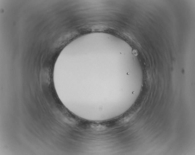 X0000062910311200602031903