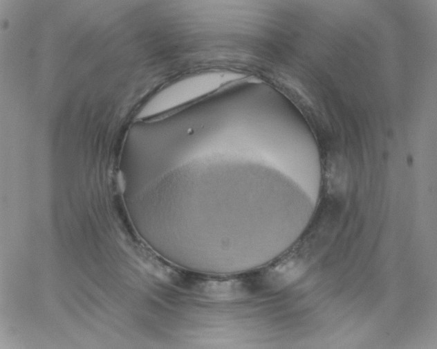 X0000062910314200602031903