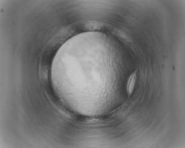 X0000062910315200602031903