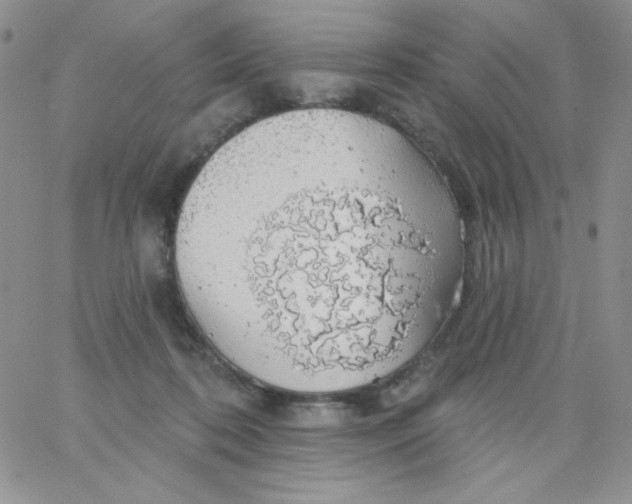 X0000062910316200602031903