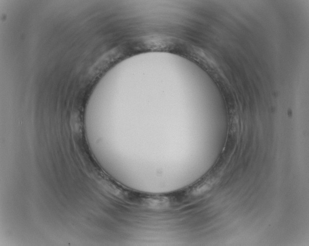 X0000062910317200602031903