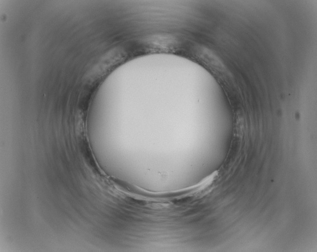 X0000062910318200602031903