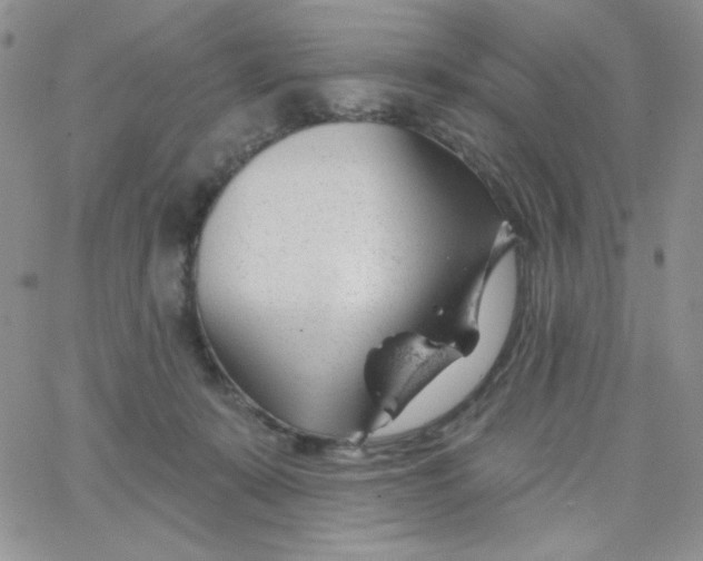 X0000062910319200602031903