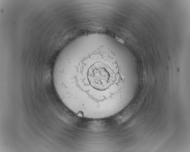 X0000062910320200602031903