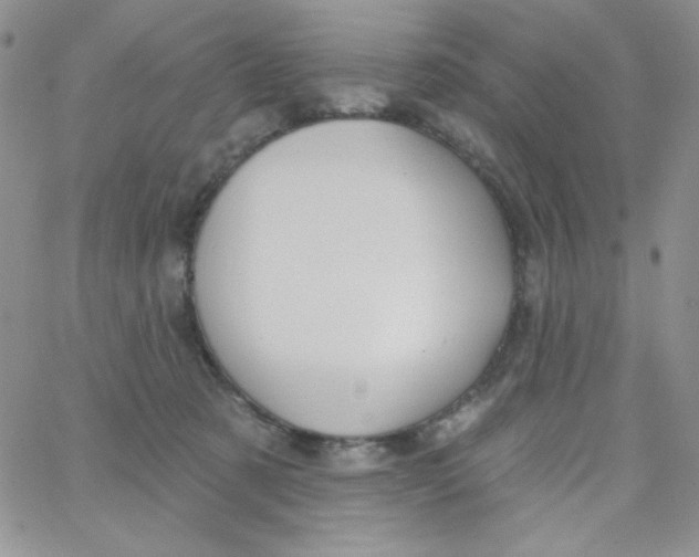 X0000062910321200602031903