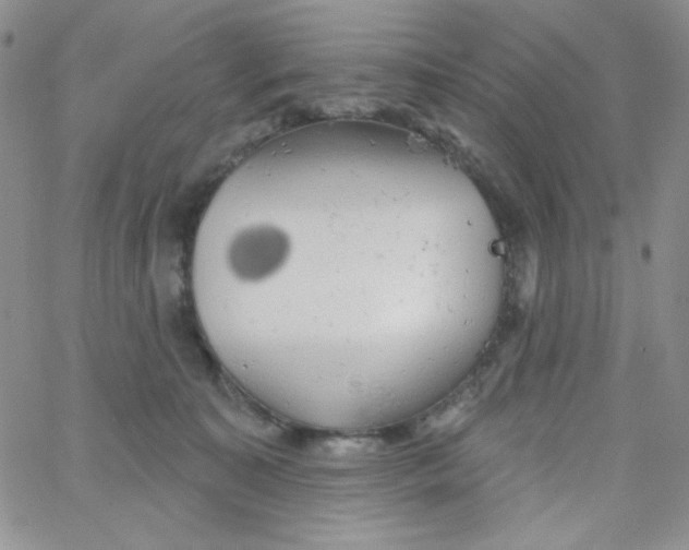 X0000062910323200602031903