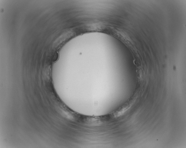 X0000062910325200602031903