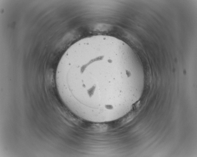 X0000062910328200602031903