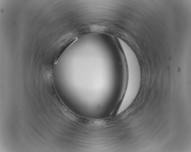 X0000062910329200602031903