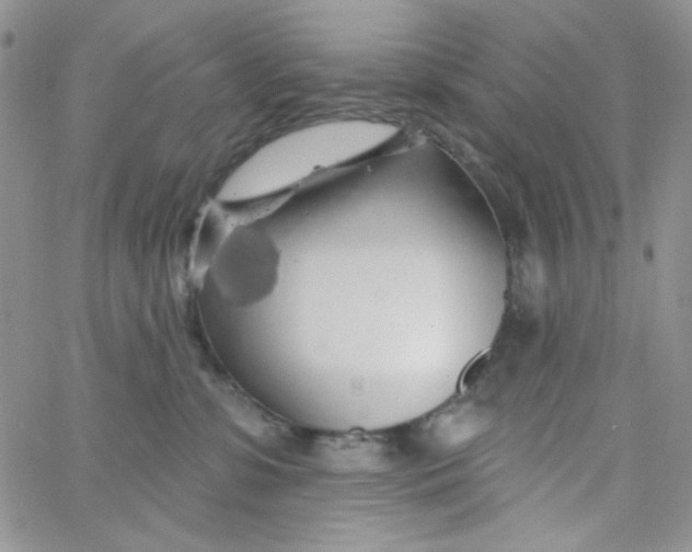 X0000062910331200602031903