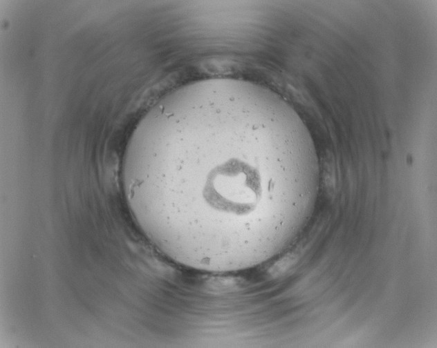 X0000062910332200602031903