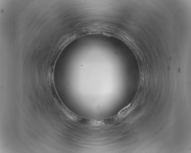 X0000062910333200602031903