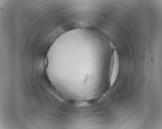 X0000062910334200602031903