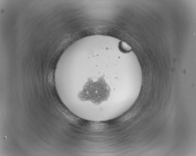 X0000062910336200602031903