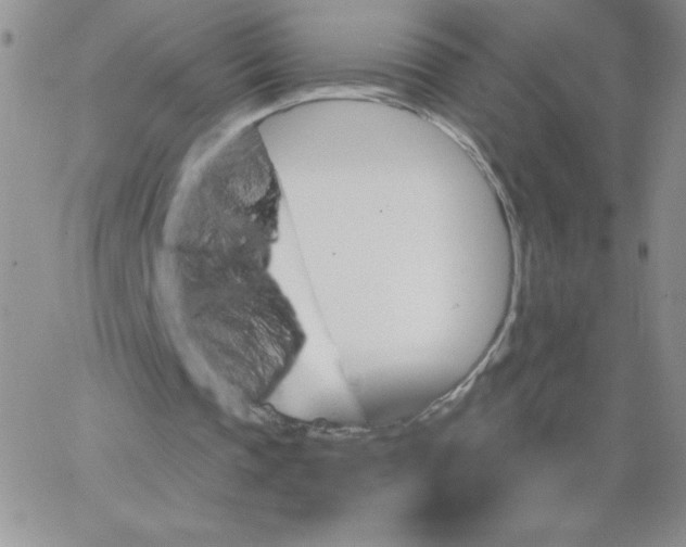 X0000062910337200602031902