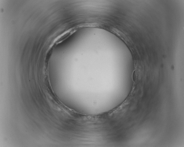 X0000062910338200602031902