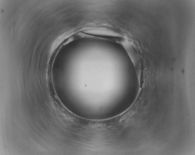 X0000062910340200602031902