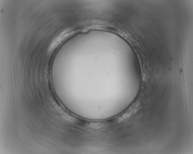 X0000062910341200602031902