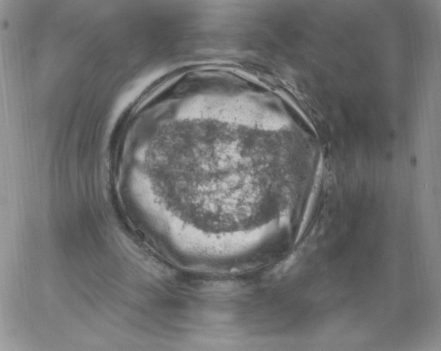 X0000062910342200602031902