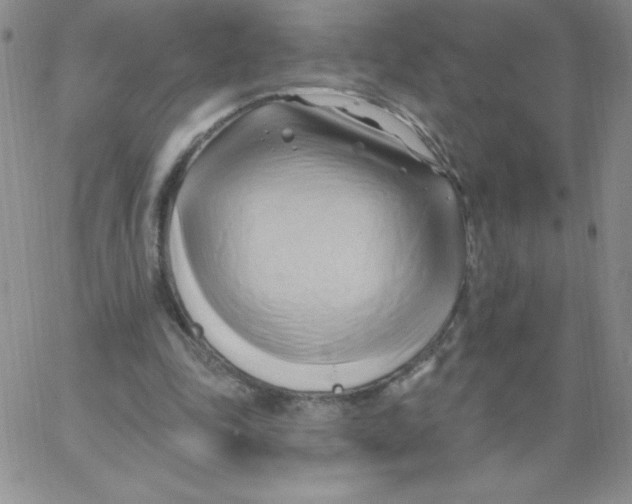 X0000062910343200602031902