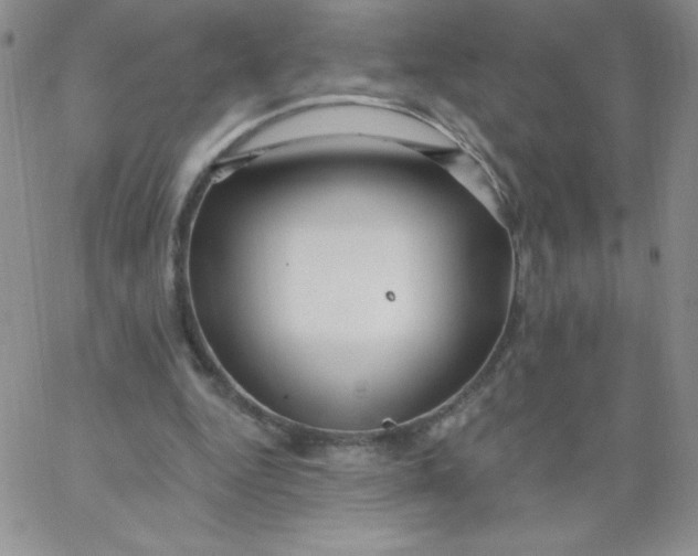 X0000062910344200602031902