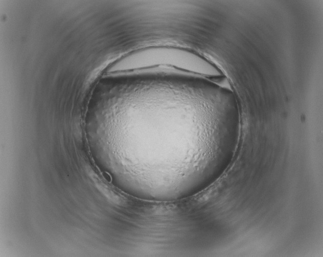 X0000062910345200602031902