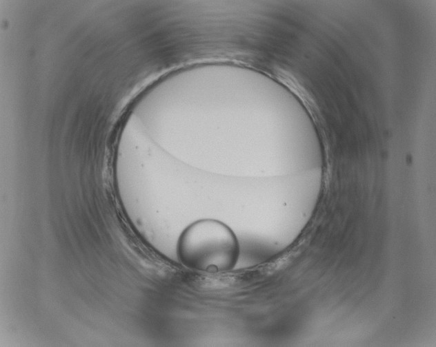 X0000062910346200602031902