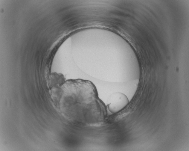 X0000062910347200602031902