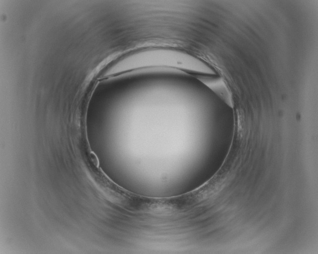 X0000062910348200602031902